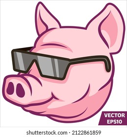 pig. pig head. pig head with sunglasses