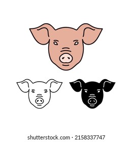 Pig head vector illustration in 3 styles isolated on white background.