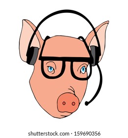 Pig with headphones 