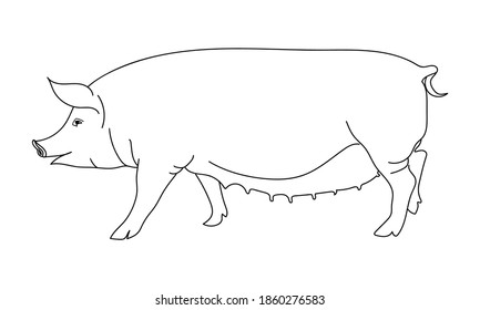 Pig Hog Outline Silhouette Pork Farm Stock Vector (Royalty Free ...