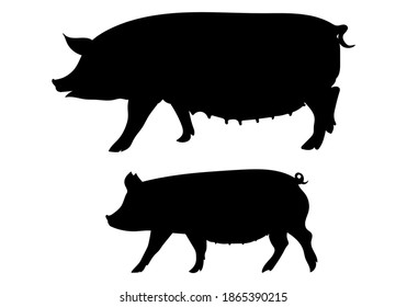 Pig Or Hog With Piglet Black Silhouette. Pork, Farm Animal Symbol. Vector Illustration.