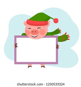 Pig hold the board with copy space,empty blank,banner in green hat and sckarf isolated on a white background.Cute farm animal pig cartoon character Symbol Christmas and New Year in 2019