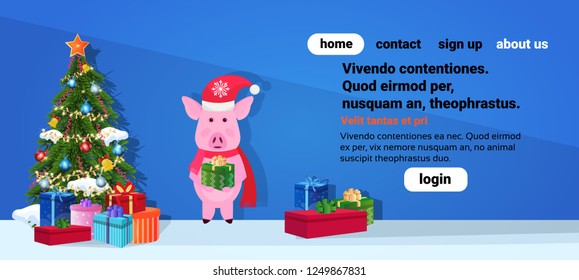 pig holding gift box standing near fir tree happy new year merry christmas concept flat horizontal banner copy space