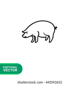 Pig icon