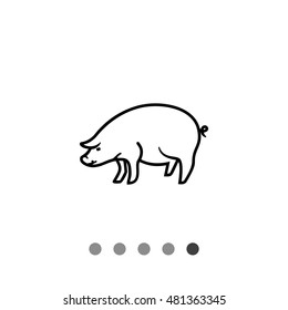 Pig icon