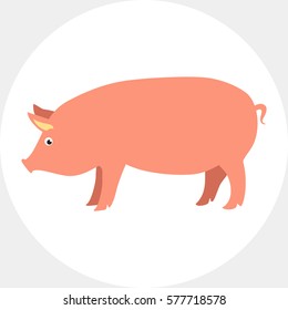Pig icon