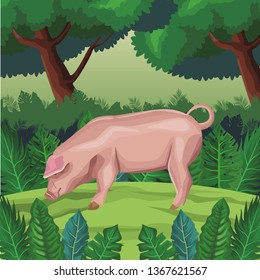 pig icon cartoon