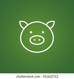  Pig icon Flat.