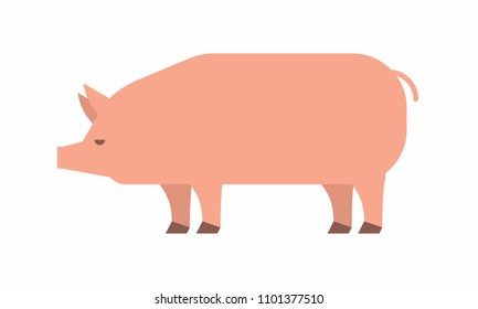 Pig icon. flat style. isolated on white background