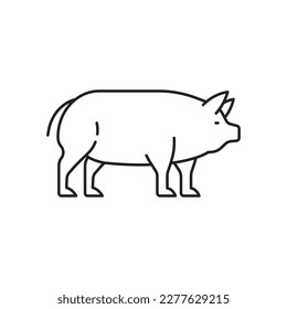 Pig icon. High quality black vector illustration.