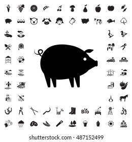 Pig icon illustration isolated vector sign symbol