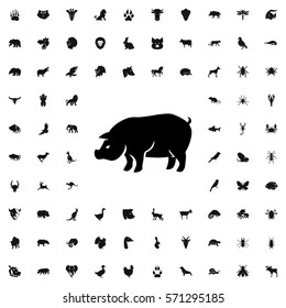pig icon illustration isolated vector sign symbol