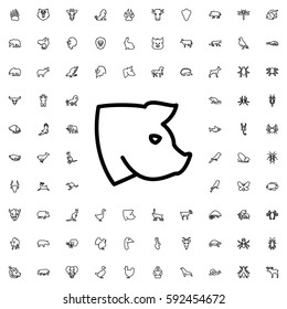 pig icon illustration isolated vector sign symbol. Animals icons vector set.