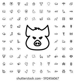 pig icon illustration isolated vector sign symbol. Animals icons vector set.