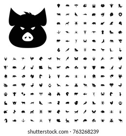 Pig icon illustration isolated vector sign symbol. animals icon set for web and mobile.