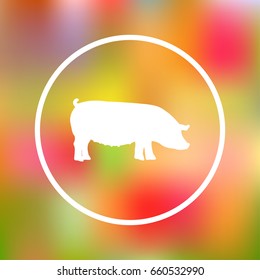 pig Icon isolated on background. Modern flat pictogram