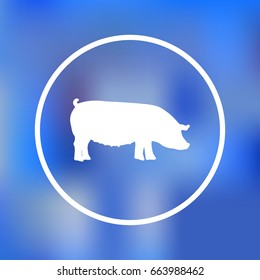 pig Icon isolated on background. Modern flat pictogram