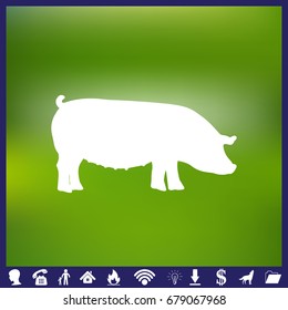 pig Icon isolated on background. Modern flat pictogram