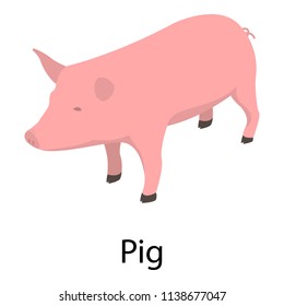 Pig icon. Isometric of pig vector icon for web design isolated on white background