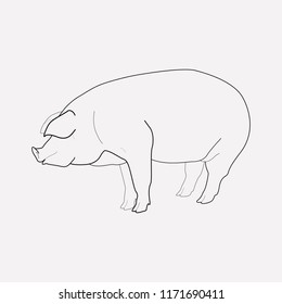 Pig icon line element. Vector illustration of pig icon line isolated on clean background for your web mobile app logo design.