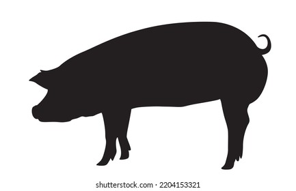 Pig icon, pork icon, hog. Vector black illustration on white. Print design. Pig silhouette.