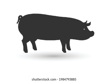 Pig icon. Pork icon. Pig vector illustration
