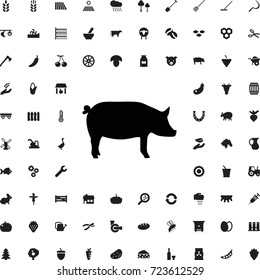 Pig icon. set of filled agriculture icons.