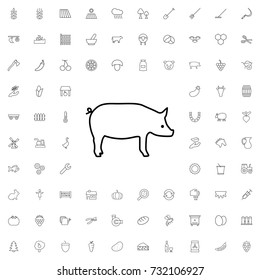 Pig icon. set of outline agriculture icons.