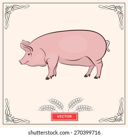 Pig icon. Vector illustration. Farm icon. Animal icon of pigs. 