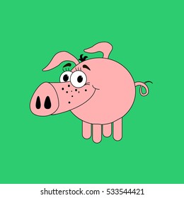 Pig illustration vector on the green background. Vector illustration