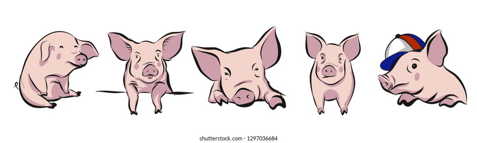 Pig illustration Vector Sketch