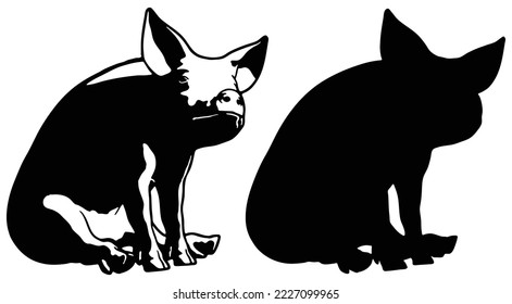 Schweinefleisch unschuldig aussehen, Vorderansicht, Vektorgrafik einzeln auf weißem Hintergrund. Pigment-Vektorsymbol