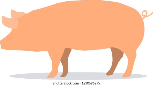 Pig isolated on white background. Side pork picture on white backdrop.