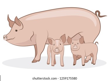 Pig isolated on white background. Little piglets with mother Pig. Vector illustration.