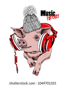 Pig in a knitted cap and with a red headphones. Vector illustration.