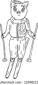 Pig with a knitted scarf and mittens on skis. Black and white. Vector.
