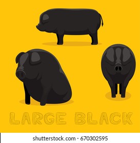 Pig Large Black Cartoon Vector Illustration