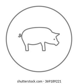 Pig line icon.