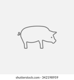 Pig line icon for web, mobile and infographics. Vector dark grey icon isolated on light grey background.