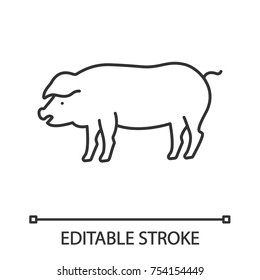 Pig linear icon. Livestock farming. Agriculture. Thin line illustration. Contour symbol. Vector isolated outline drawing. Editable stroke