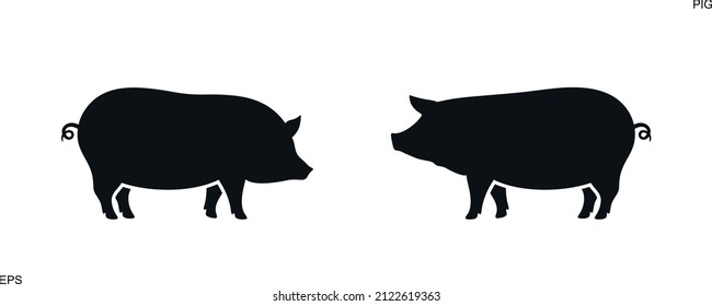 Pig logo. Isolated pig on white background