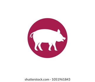 Pig Logo Template vector icon illustration design