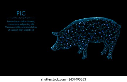 Pig low poly design, animal in polygonal style, symbol of year 2019 vector illustration on black background