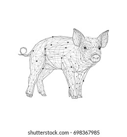 Pig in low poly style. Polygonal geometric triangular wire graphic construction structure.