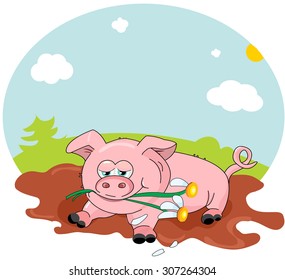 pig lying in the mud on summer nature background