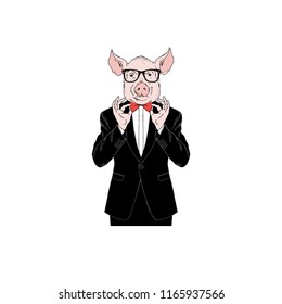 pig man dressed up in tuxedo, anthropomorphic animal illustration