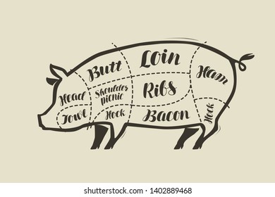 Pig meat cutting. Menu for restaurant or butcher shop. Vector vintage