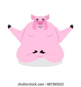 Pig meditating in lotus Pose. swine yoga. Farm animal on white background. Condition of nirvana and enlightenment. 