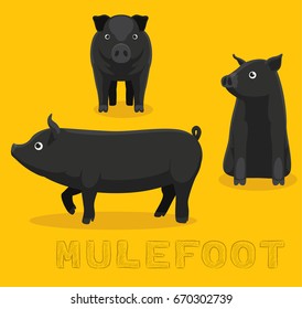 Pig Mulefoot Cartoon Vector Illustration