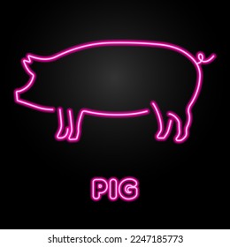 pig neon sign, modern glowing banner design, colorful modern design trends on black background. Vector illustration.